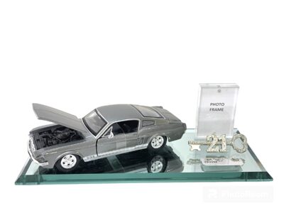 TK508 GREY MUSTANG